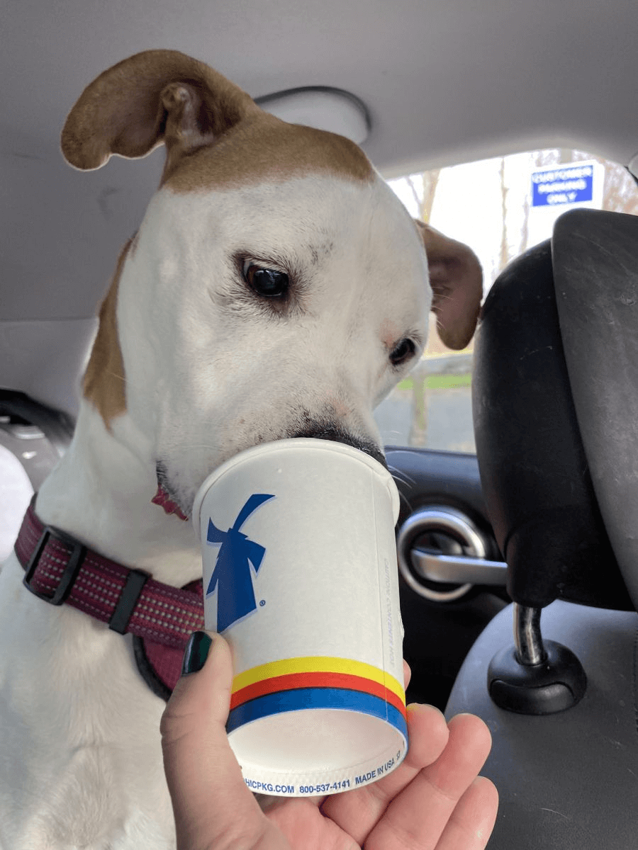 Does Dutch bros have pup cups? starbmag