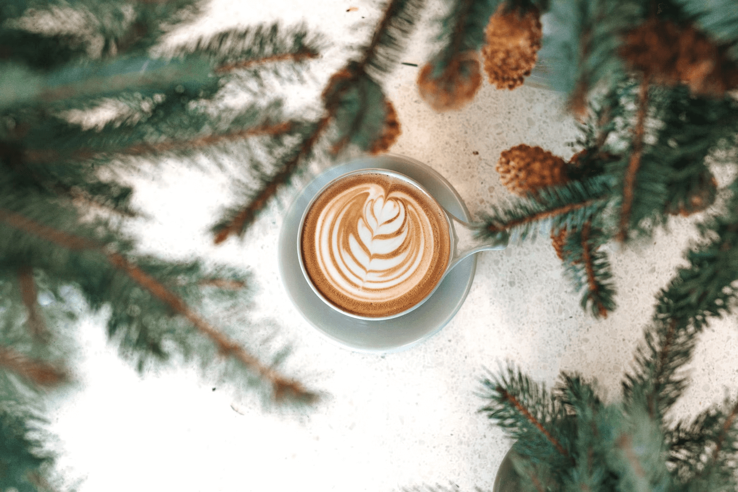 Low calorie coffee creamers - starbmag